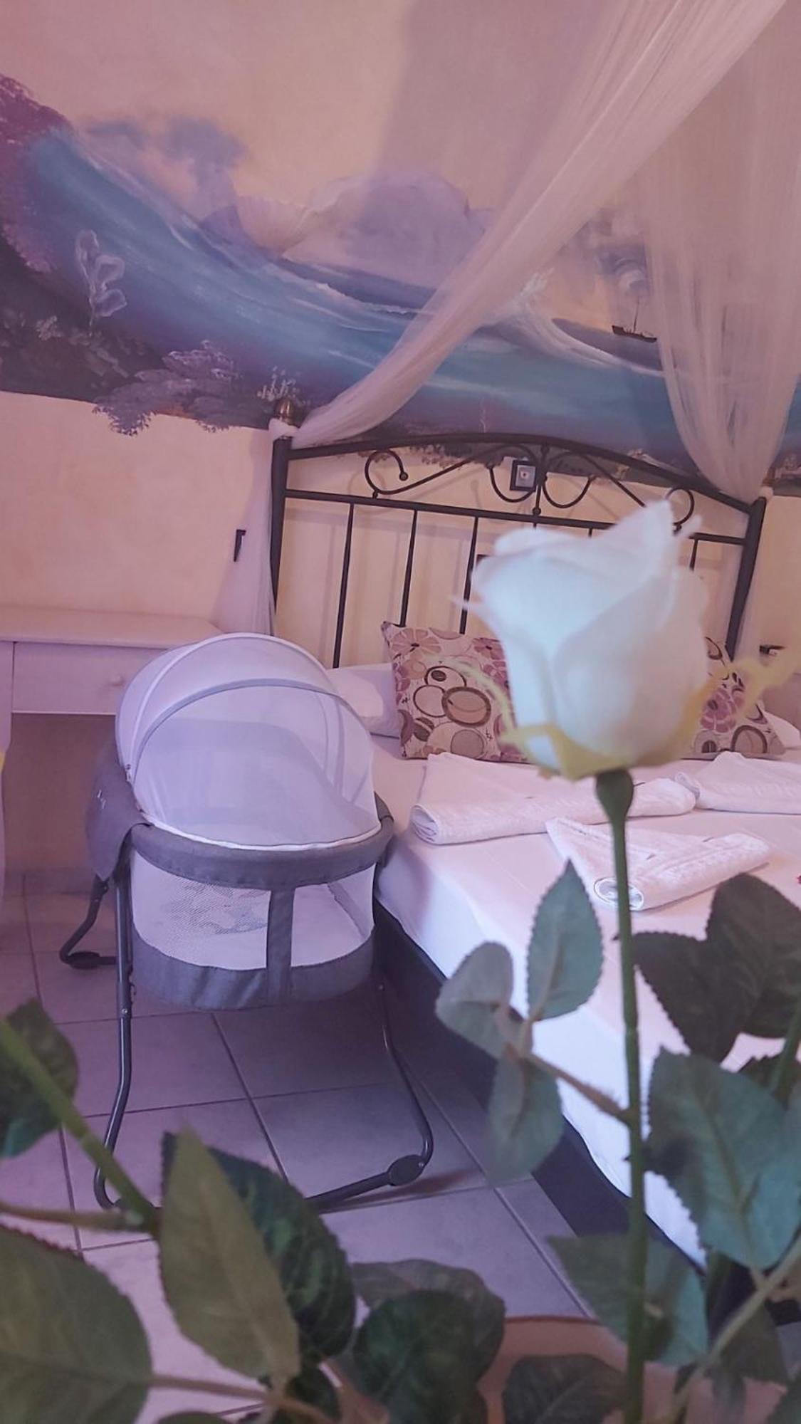 Aphrodite Boutique Hotel Alikí Екстериор снимка